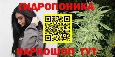 СК Донецк