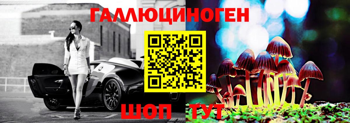 Менделеевск  Псилоцибиновые грибы мухоморы  закладки  Вход с VPN 